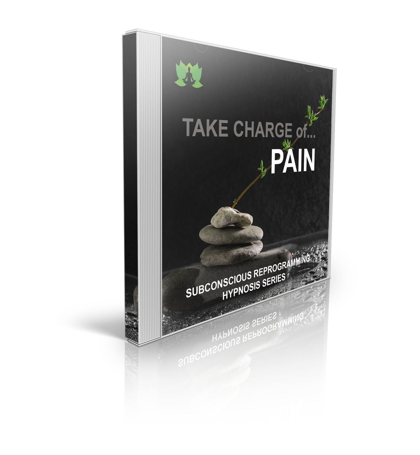 Take Charge of Pain