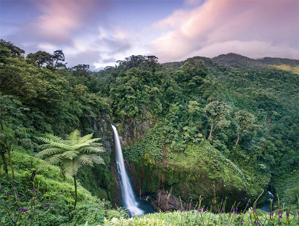 Sip on Life Retreat Full Price