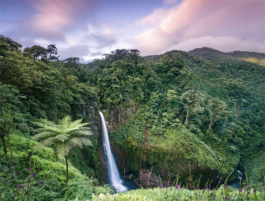 Sip on Life Retreat Full Price